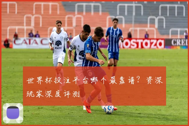 世界杯投注平台哪个最靠谱？资深玩家深度评测