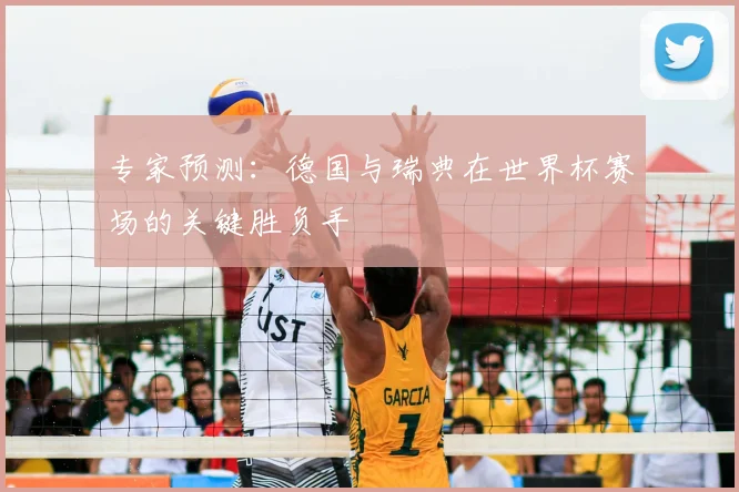 专家预测：德国与瑞典在世界杯赛场的关键胜负手
