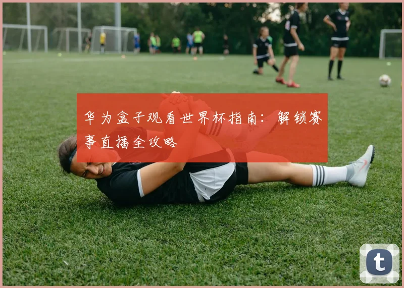 华为盒子观看世界杯指南:解锁赛事直播全攻略