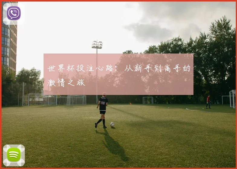 世界杯投注心路：从新手到高手的激情之旅