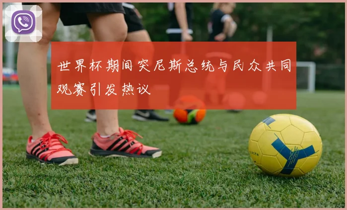 世界杯期间突尼斯总统与民众共同观赛引发热议