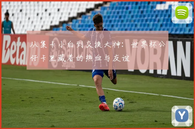 从集卡小白到交换大神：世界杯公仔卡里藏着的热血与友谊