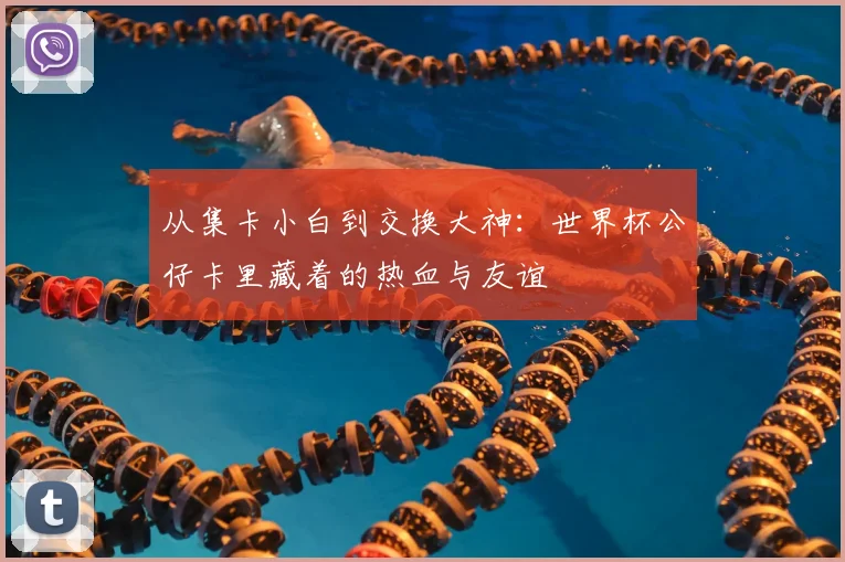 从集卡小白到交换大神：世界杯公仔卡里藏着的热血与友谊