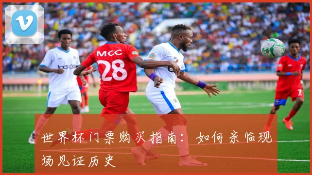 世界杯门票购买指南：如何亲临现场见证历史